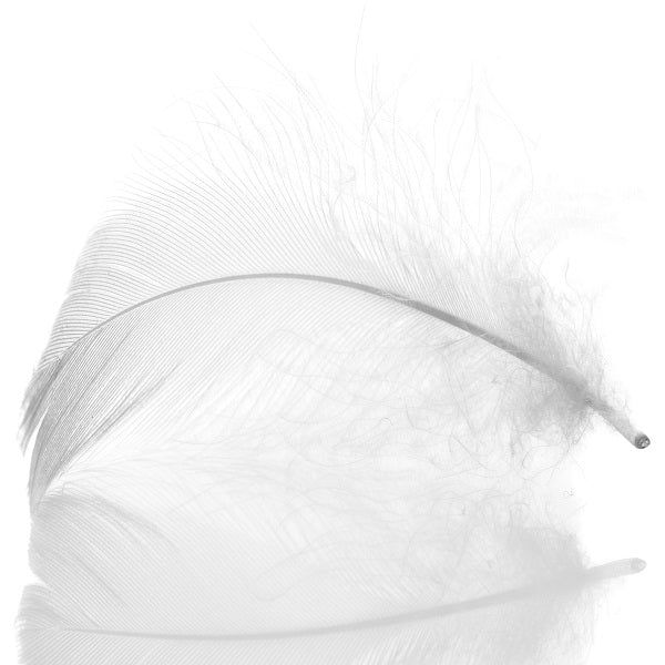 Moemoe Feather & Down Collection